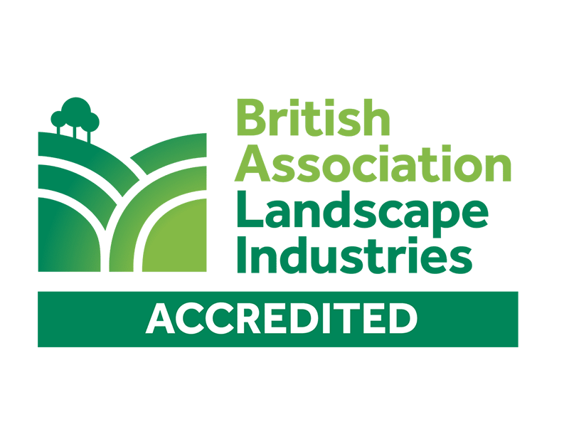 BALI Accredited logo