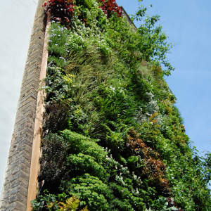 easiwall---notting-hill-2