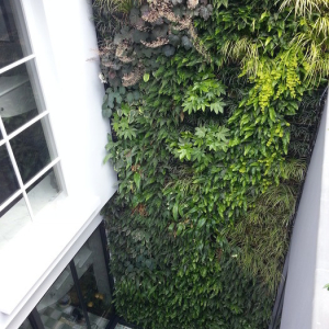 gilston-rd-courtyard-lw