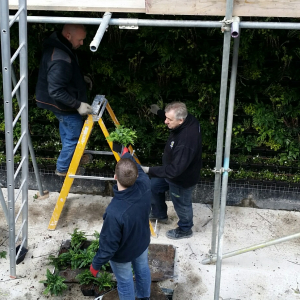gvgc-green-wall-at-fitzjohns-ave-13