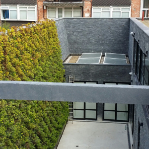 gvgc-green-wall-at-fitzjohns-ave-18