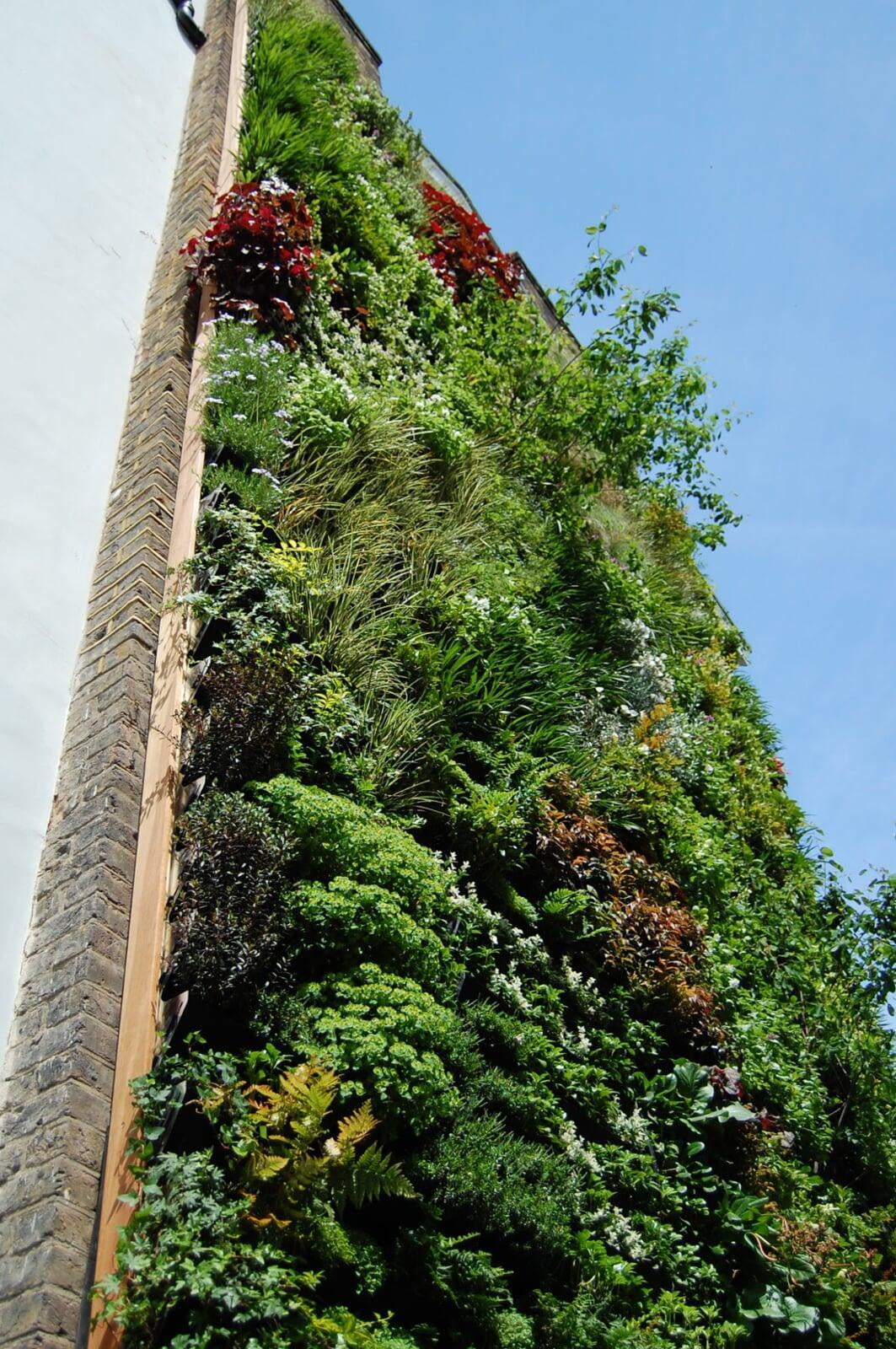 Notting Hill, London Living Green Walls by Watermatic