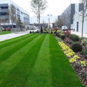 Sky Studios – A Commercial Irrigation Case Study