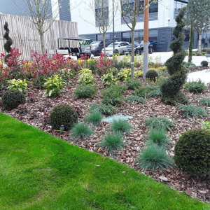 Sky Studios – Commercial Irrigation Case Study
