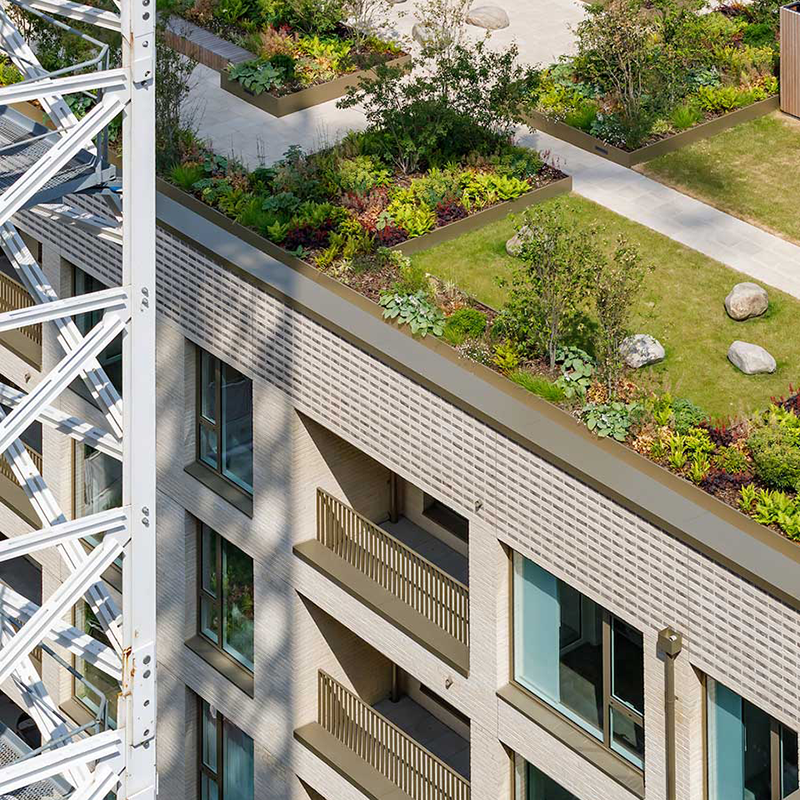 Oval Village – A Commercial Irrigation Case Study