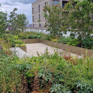 Oval Village – A Commercial Irrigation Case Study