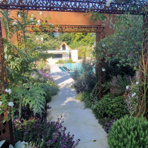 Baytree House Gallery photo - Irrigation by Watermatic