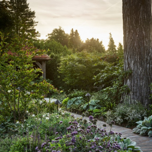 Baytree House Gallery photo - Irrigation by Watermatic