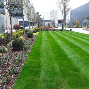Sky Studios – Commercial Irrigation Case Study
