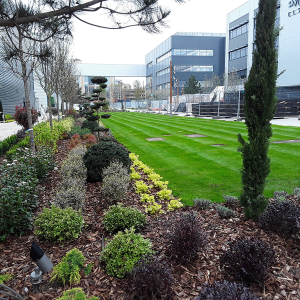 Sky Studios – Commercial Irrigation Case Study