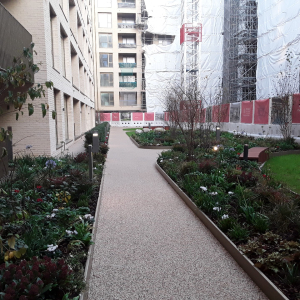 Oval Village – A Commercial Irrigation Case Study