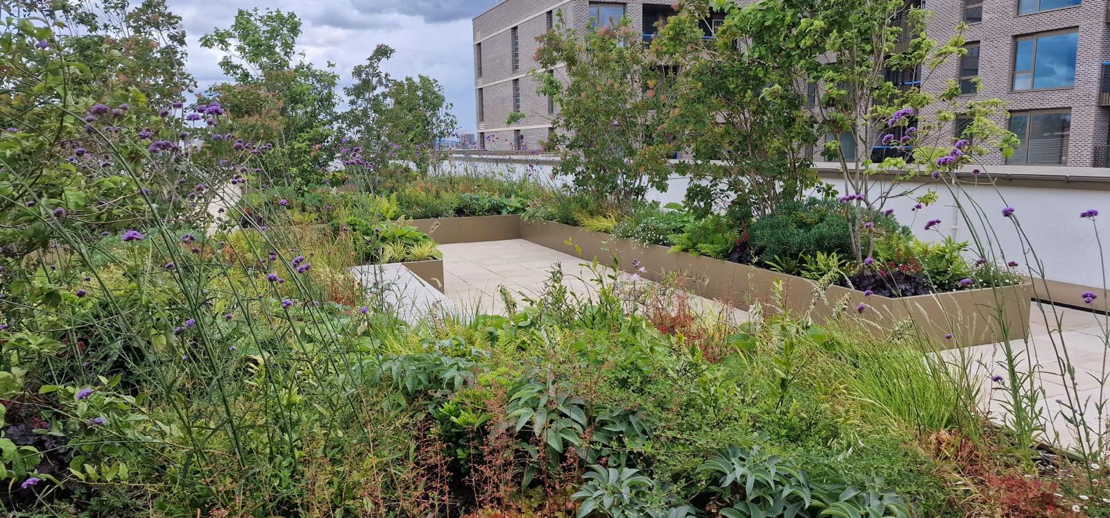 Benefits of a Well-Planned Irrigation System