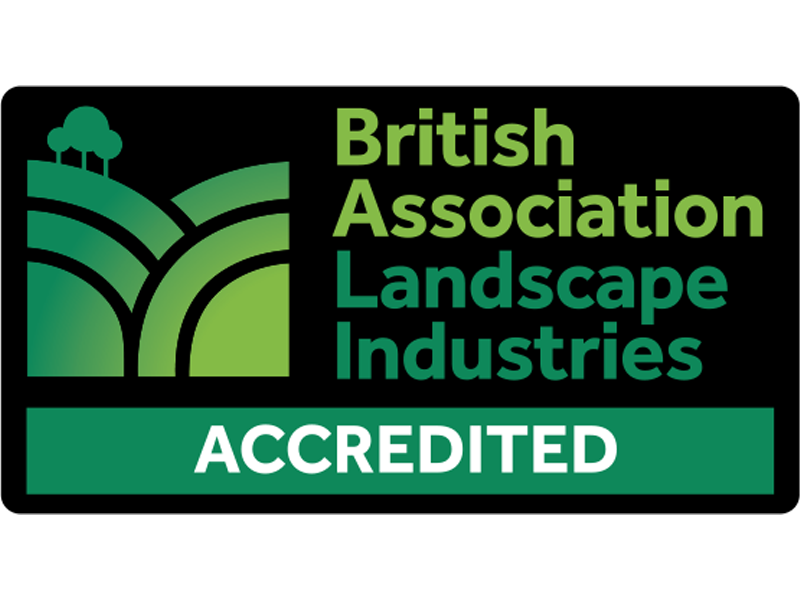 BALI Accredited logo